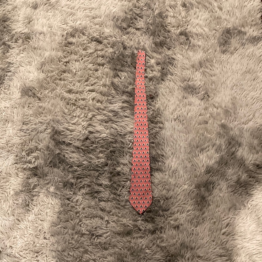 Vineyard Vine Tie (BARELY USED)